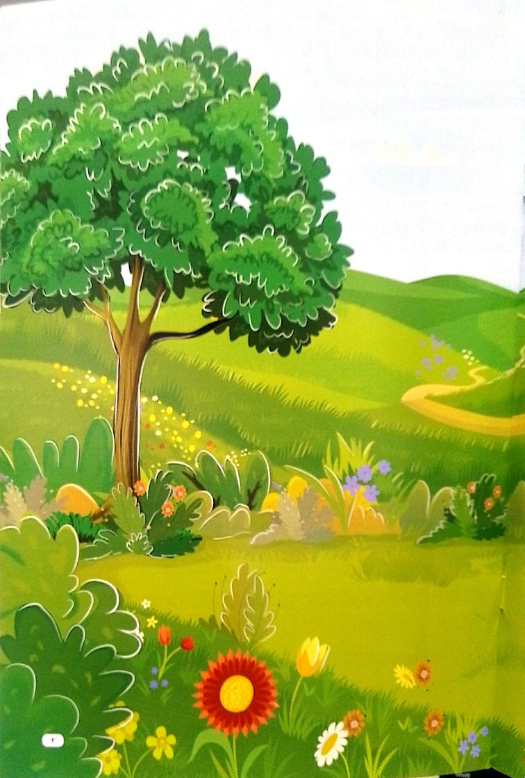 عش بين الأشواك