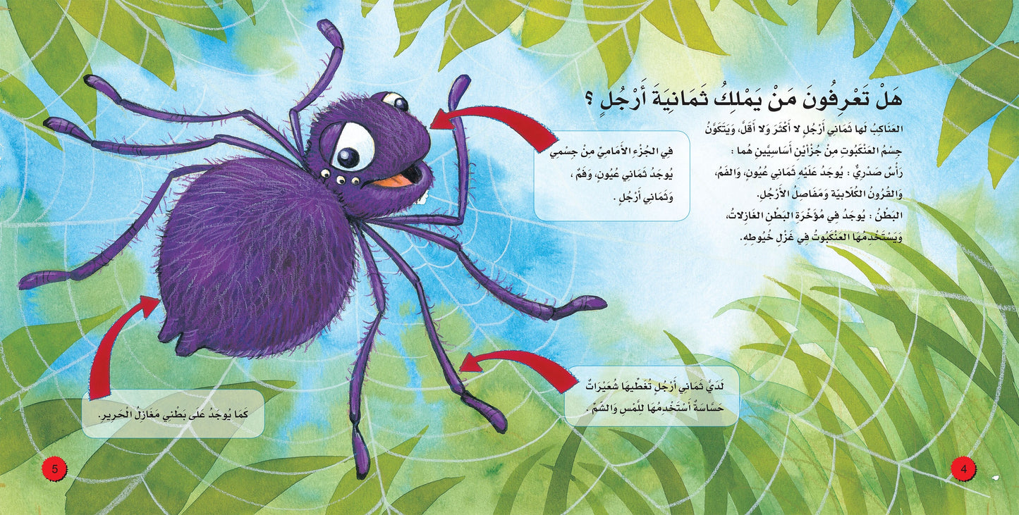 عالم العناكب - سلسلة اكتشف