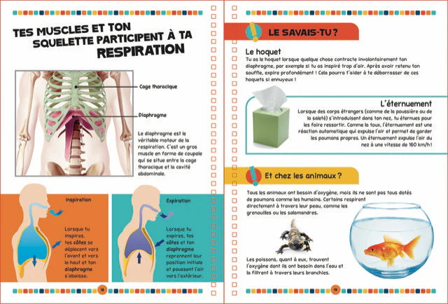 Le livre du corps humain: un voyage fantastique et ludique au coeur des mystères de l'anatomie humaine ! Hardcover