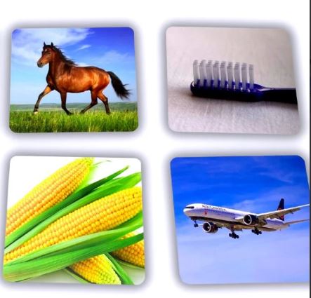 بطاقات الحروف العربية - كروت