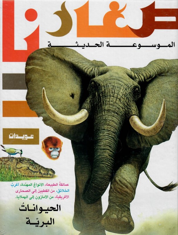 الحيوانات البرية - صغارنا - غلاف مقوى