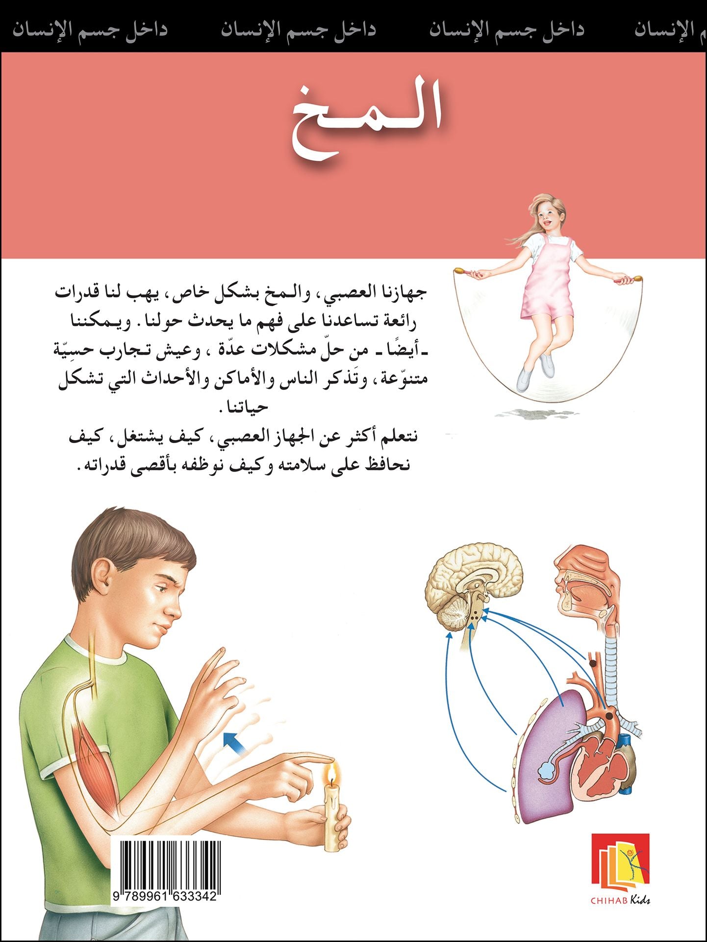 المخ: سلسلة داخل جسم الإنسان - غلاف مُقوّى