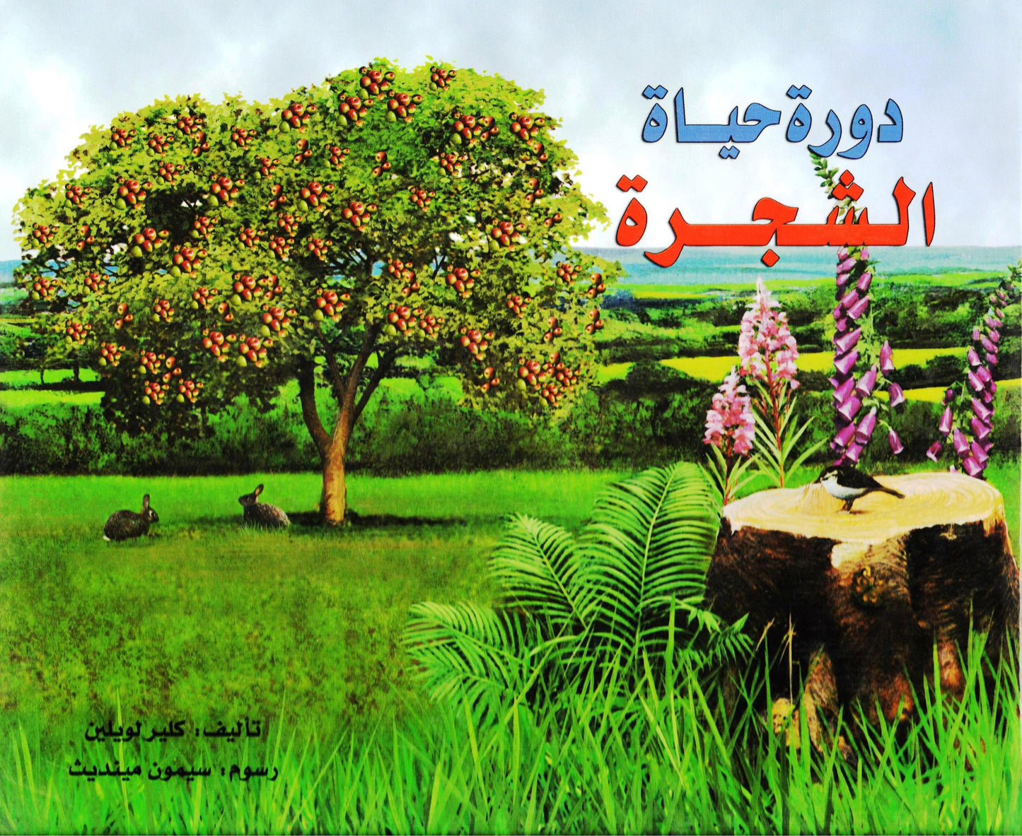 دورة حياة الشجرة - غلاف مُقوّى