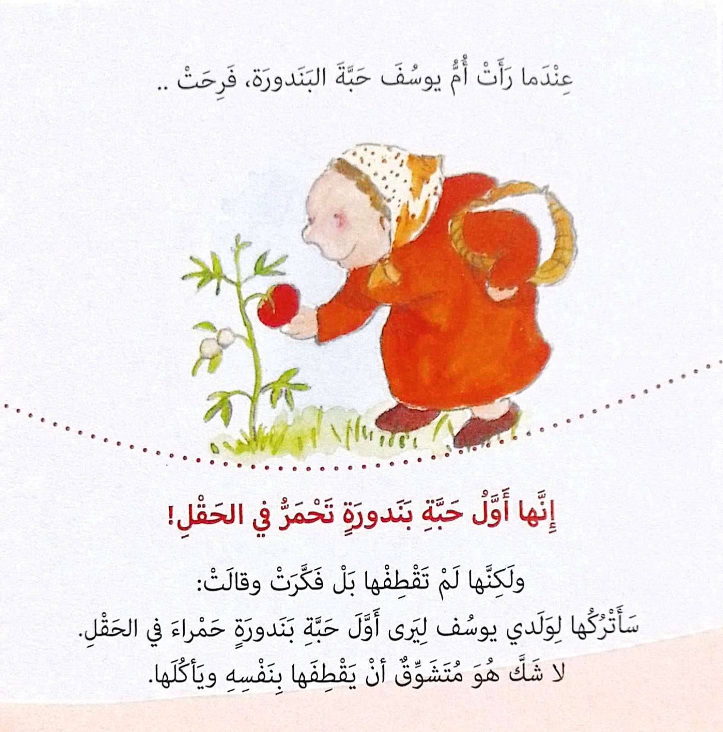 أشهى حبة بندورة