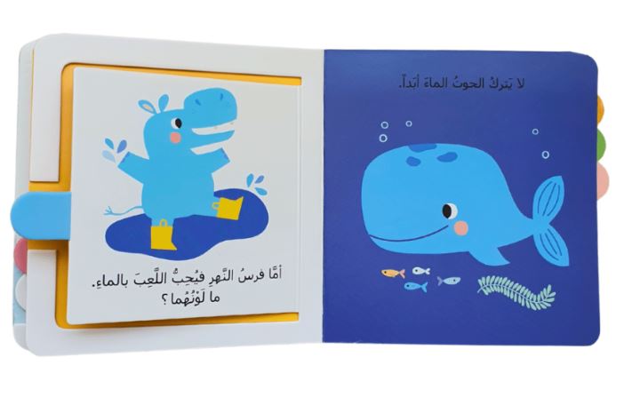 الألوان - سلسلة خلف كل صفحة مفاجأة - ورق مُقوّى