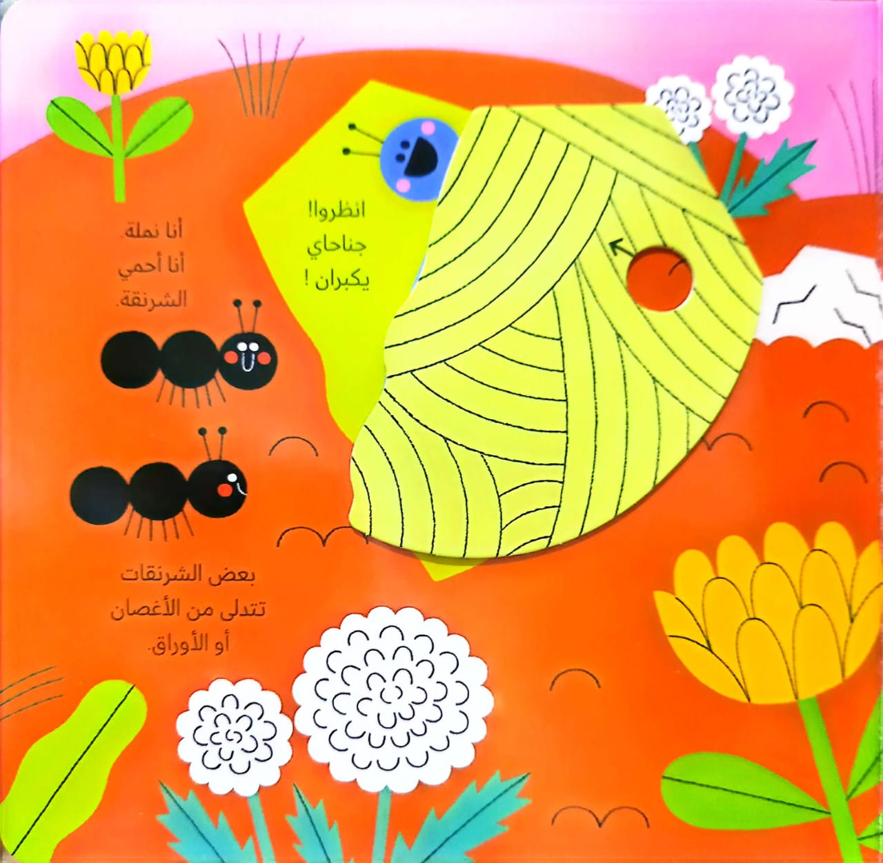 الفراشة - سلسلة عالمي الصغير الأخضر - ورق مُقوّى