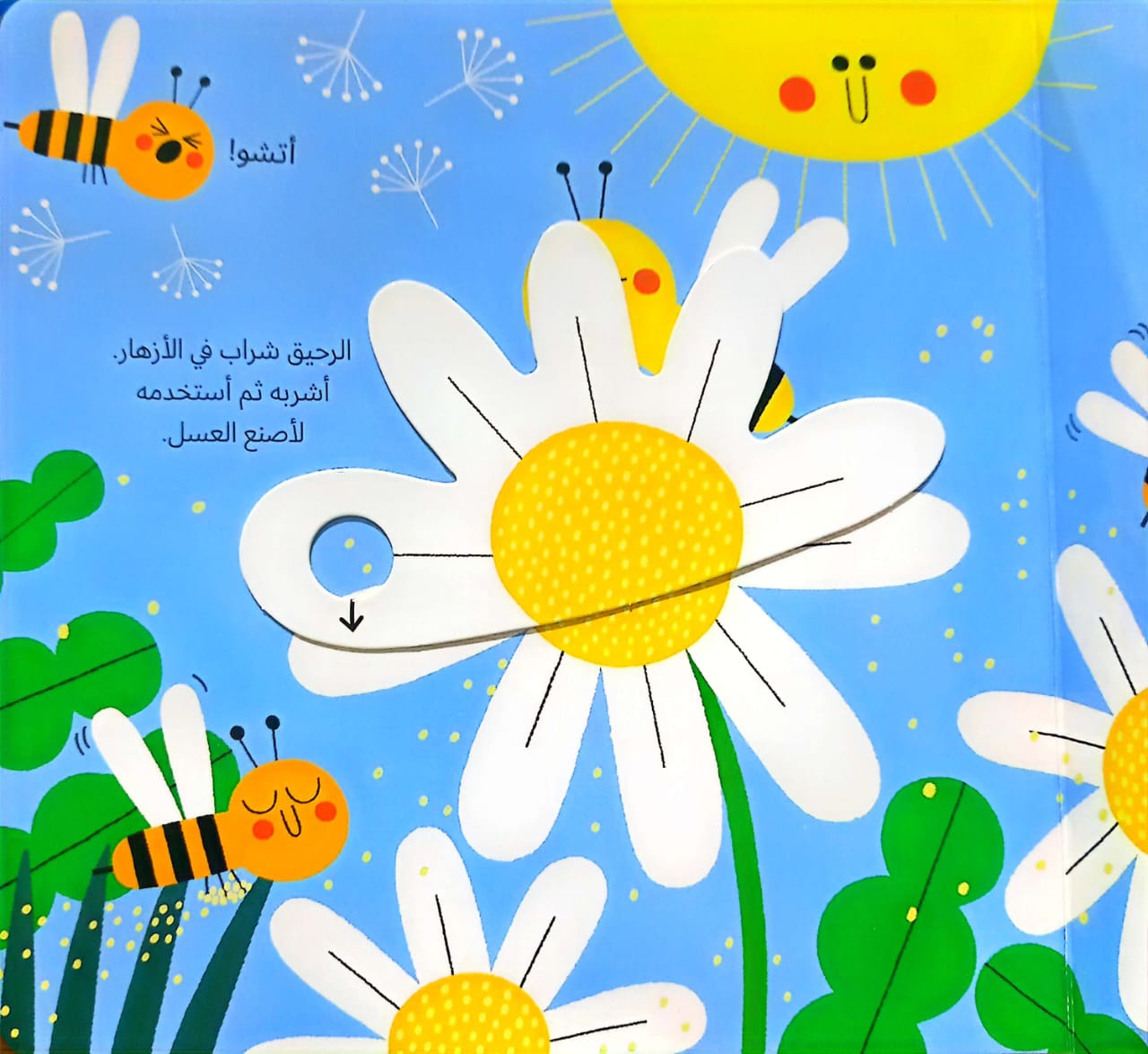 النحلة - سلسلة عالمي الصغير الأخضر - ورق مُقوّى