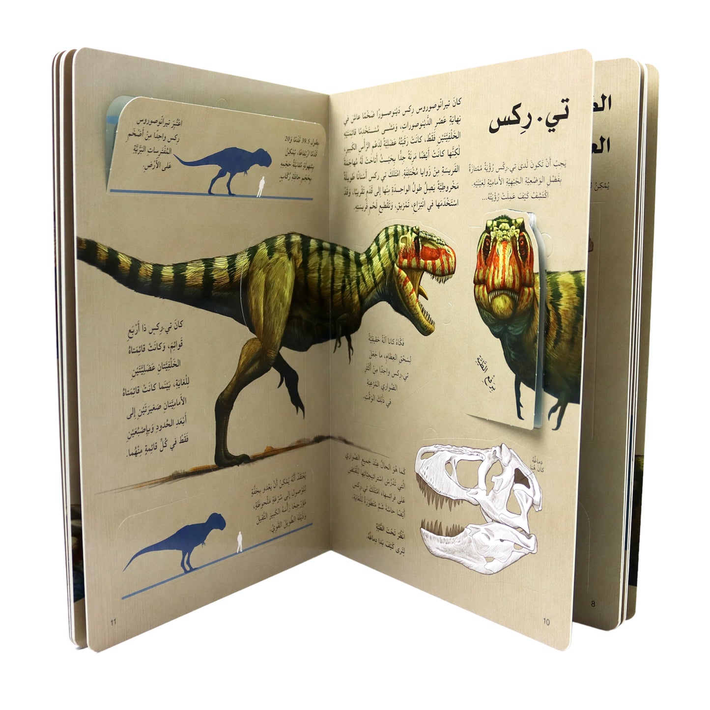 اكتشف عالم الديناصورات - افتح النافذة واكتشف بأكثر من 60 طية داخل الكتاب - ورق مُقوّى