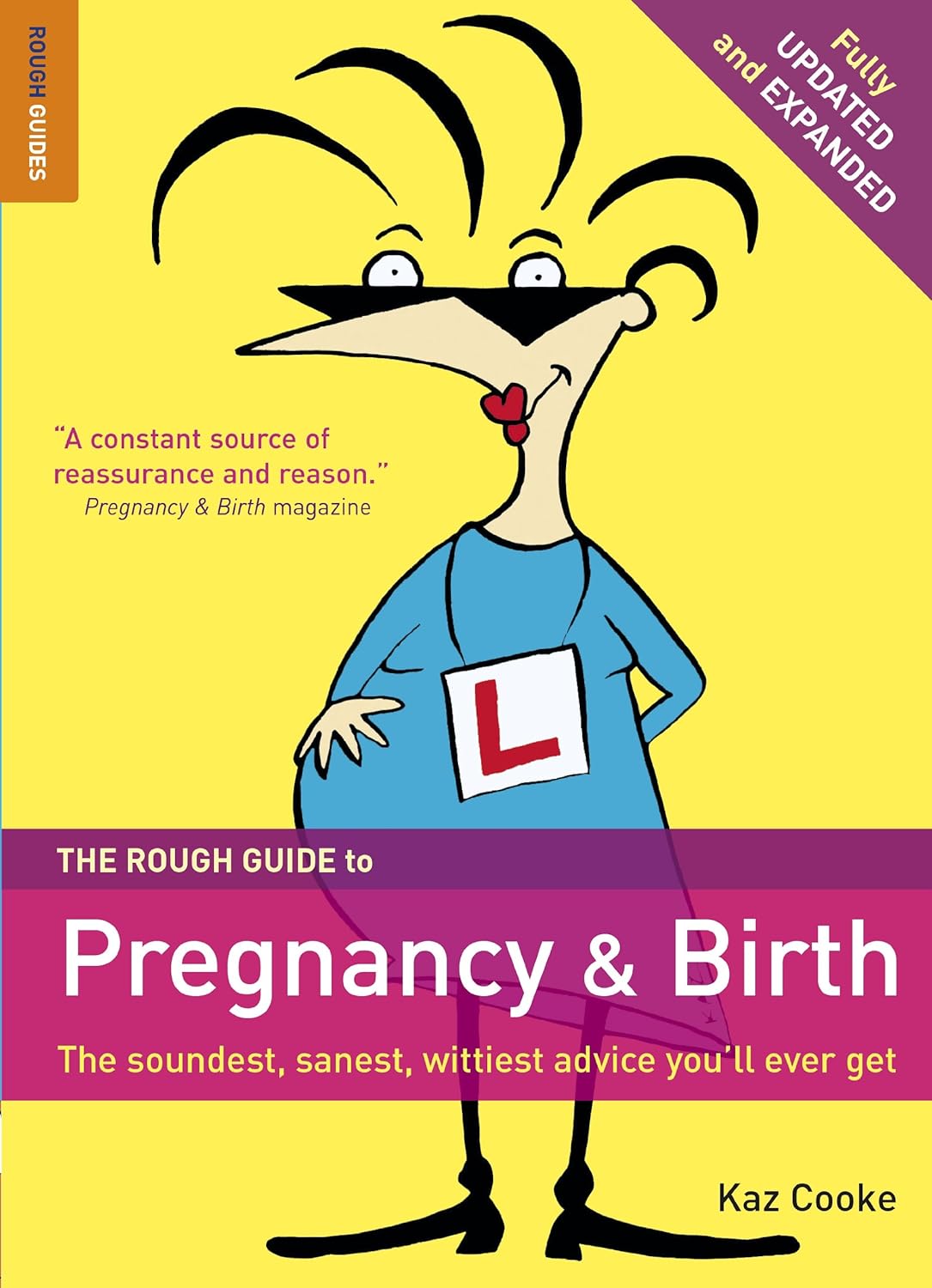 The Rough Guide to Pregnancy and Birth: Rough Guide Reference