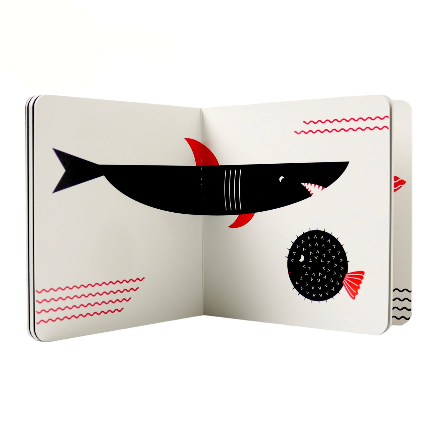 الحيوانات البحرية - طفل مونتيسوري - ورق مُقوّى