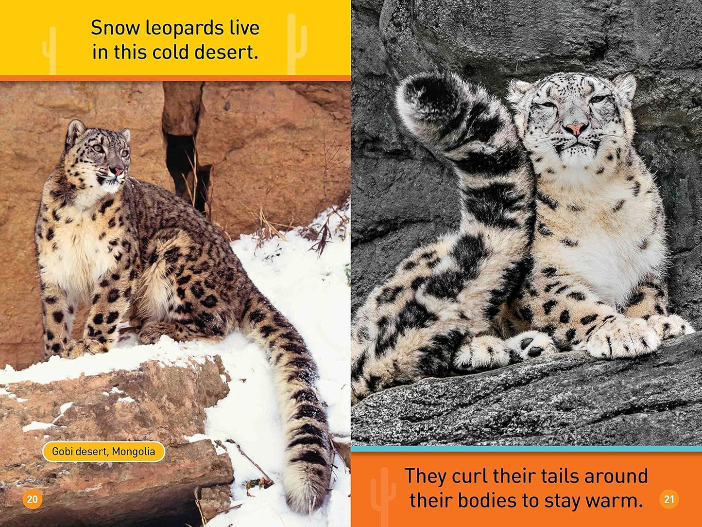 In the Desert: National Geographic Kids Readers, Pre-Reader