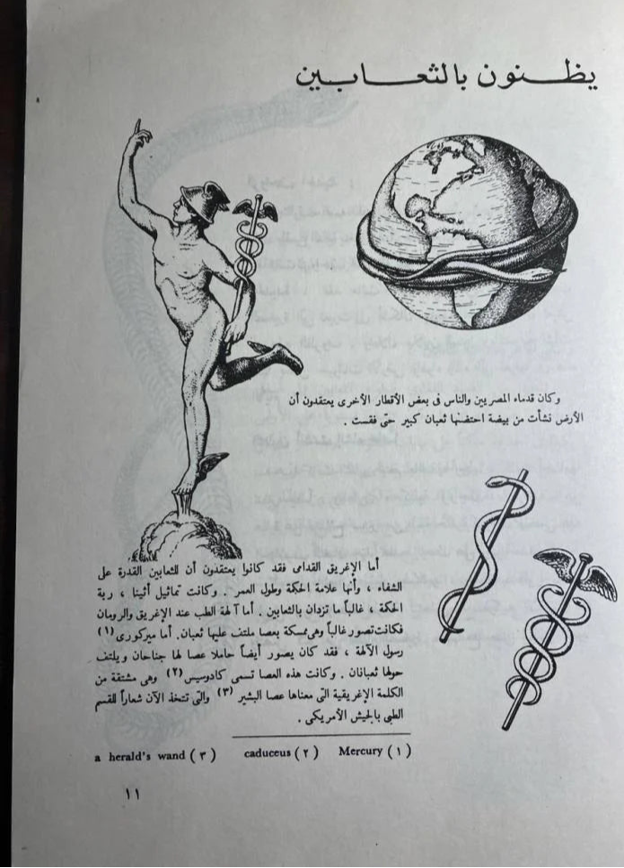 الثعابين - سلسلة كتابك الأول عن