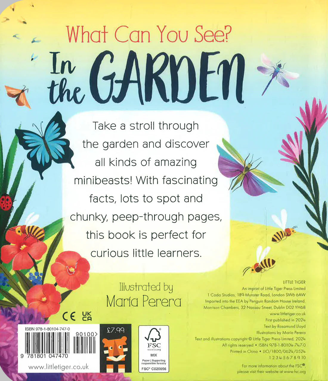 What Can You See? In the Garden - Board book