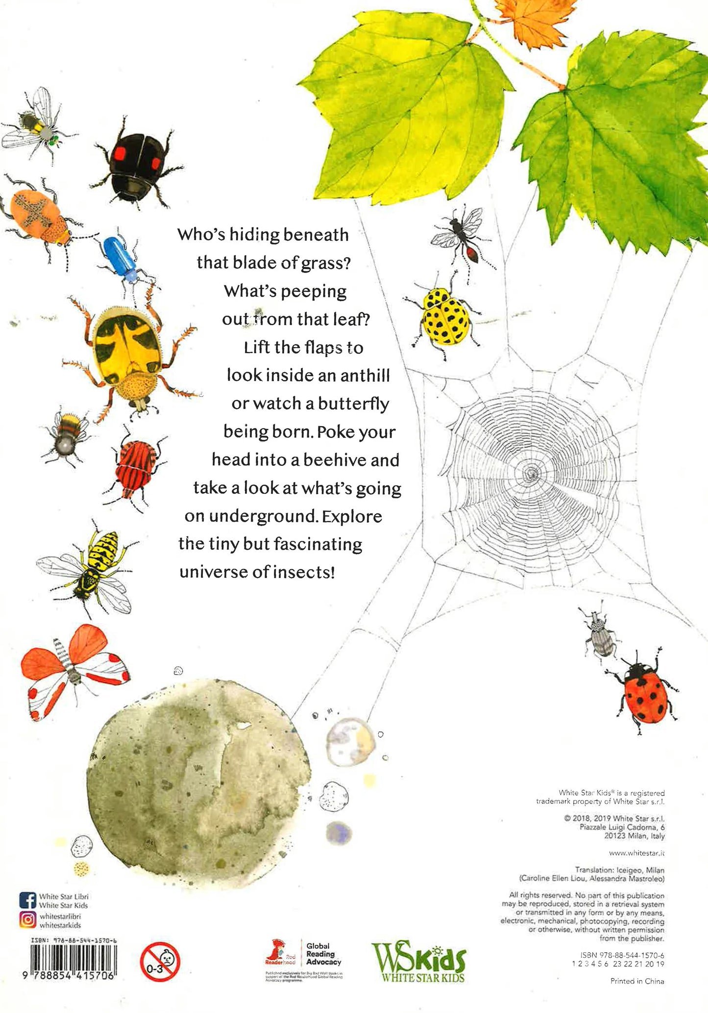 Lift The Flaps: Discover the World of Bugs - Hardcover