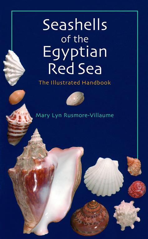 Seashells of the Egyptian Red Sea: The Illustrated Handbook - Hardcover