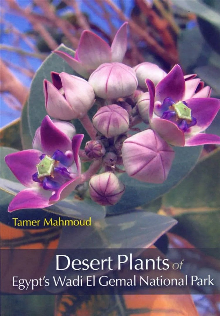 Desert Plants of Egypt’s Wadi El Gemal National Park