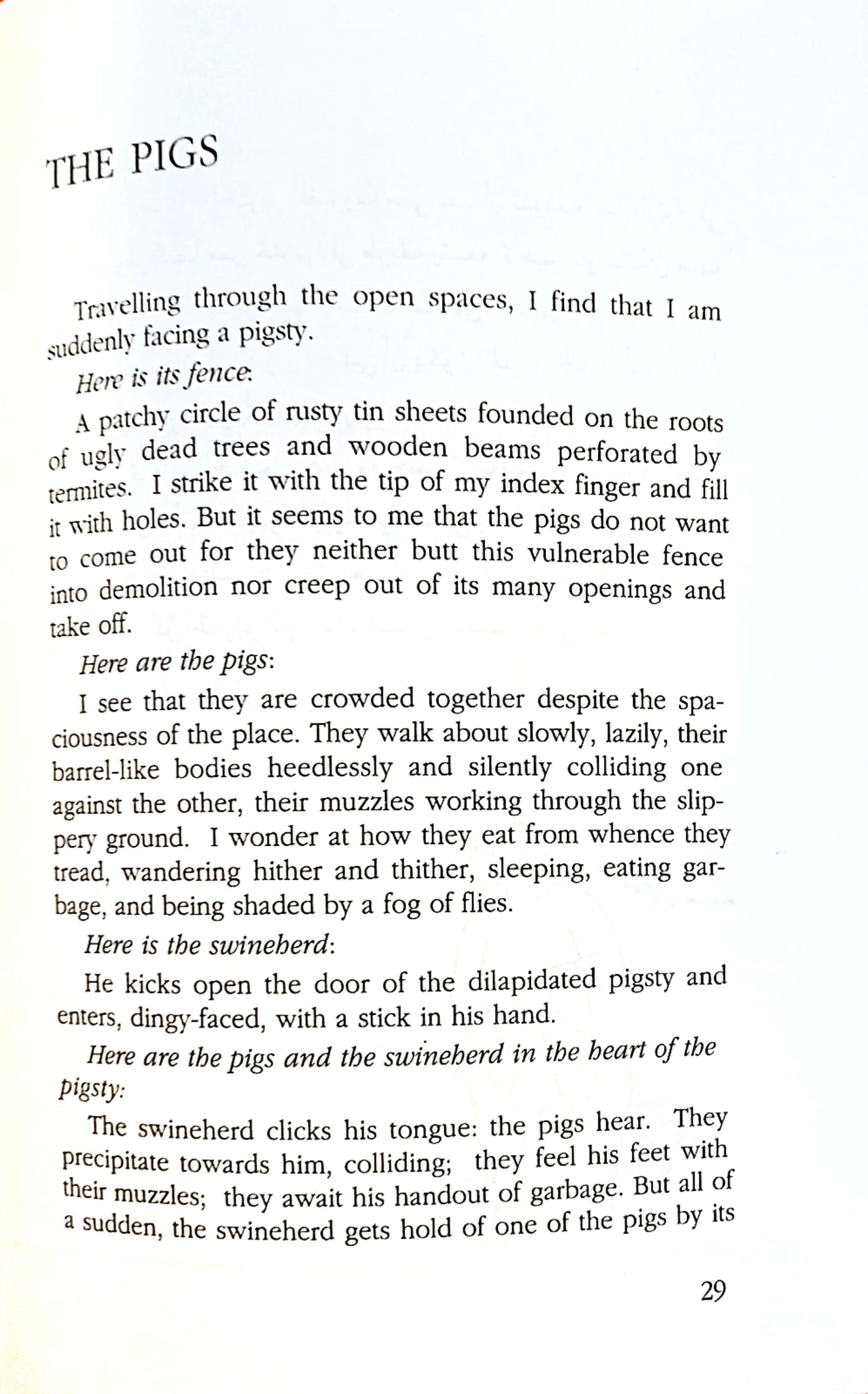 In the Cold Night - في الليل الصقيع - Bilingual edition of stories