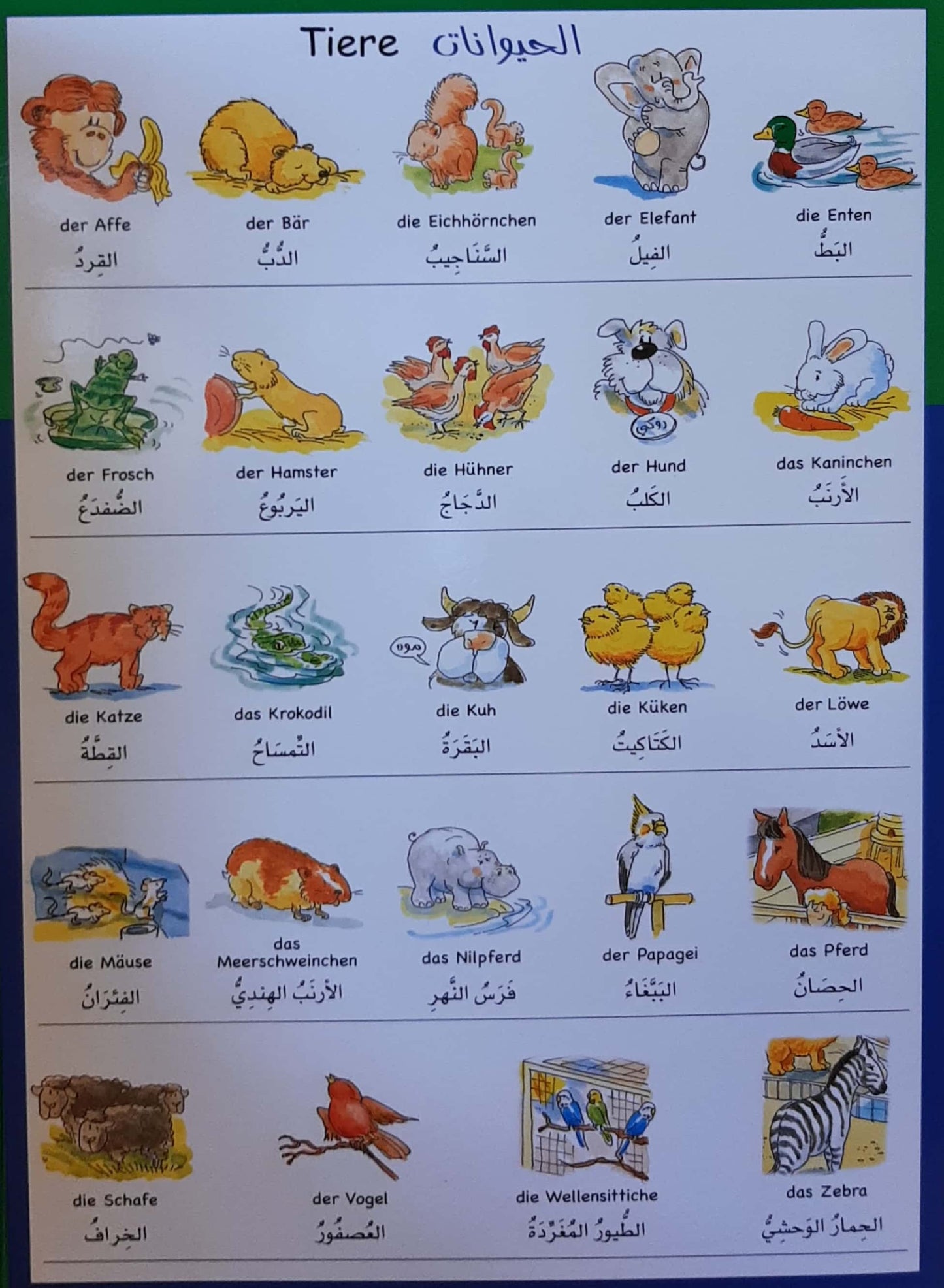 كلماتي الأولى في الألمانية - سلسلة في لمح البصر