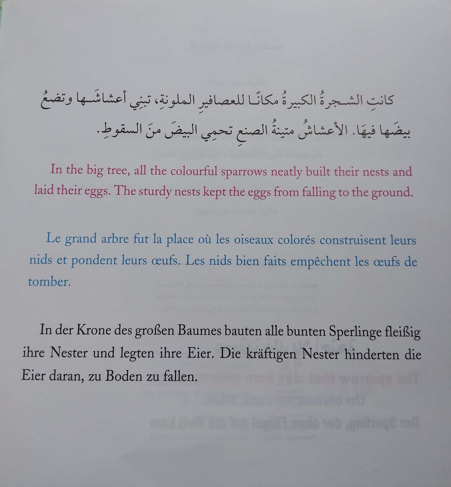 عصفور ولد بلا أجنحة - أربع لغات
