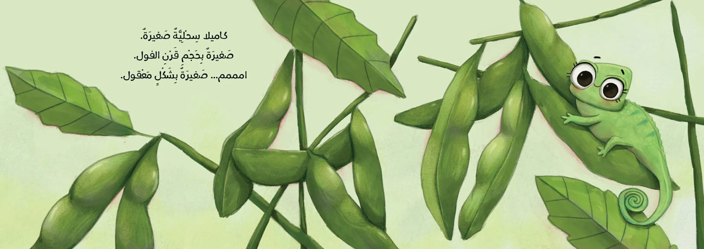 كاميلا تبحث عن وظيفة - غلاف مُقوّى