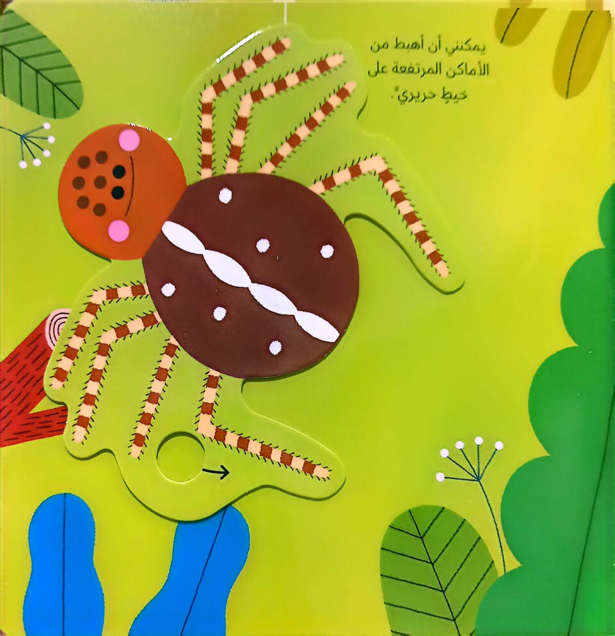 العنكبوت - سلسلة عالمي الصغير الأخضر - ورق مُقوّى