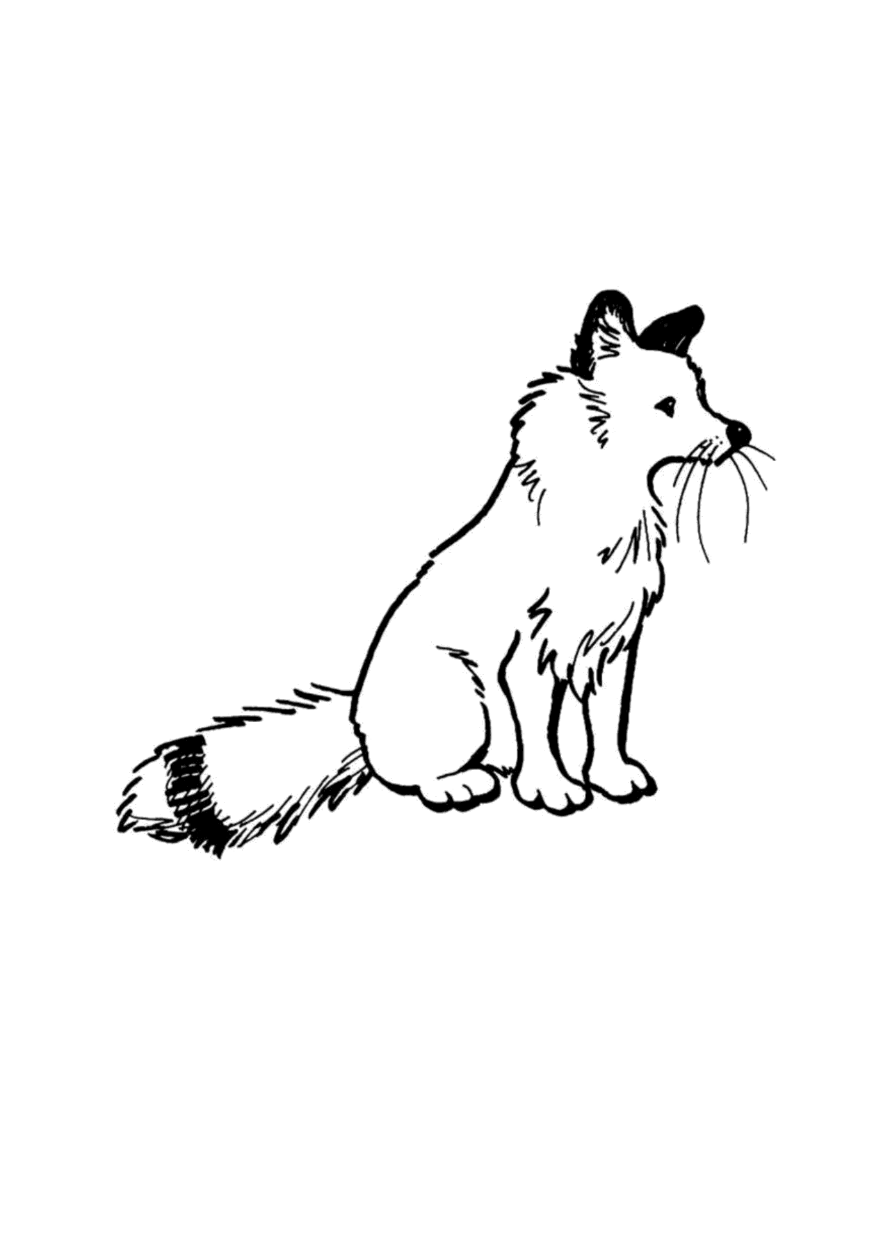 حروفي الأولى - اكتب ولون معي