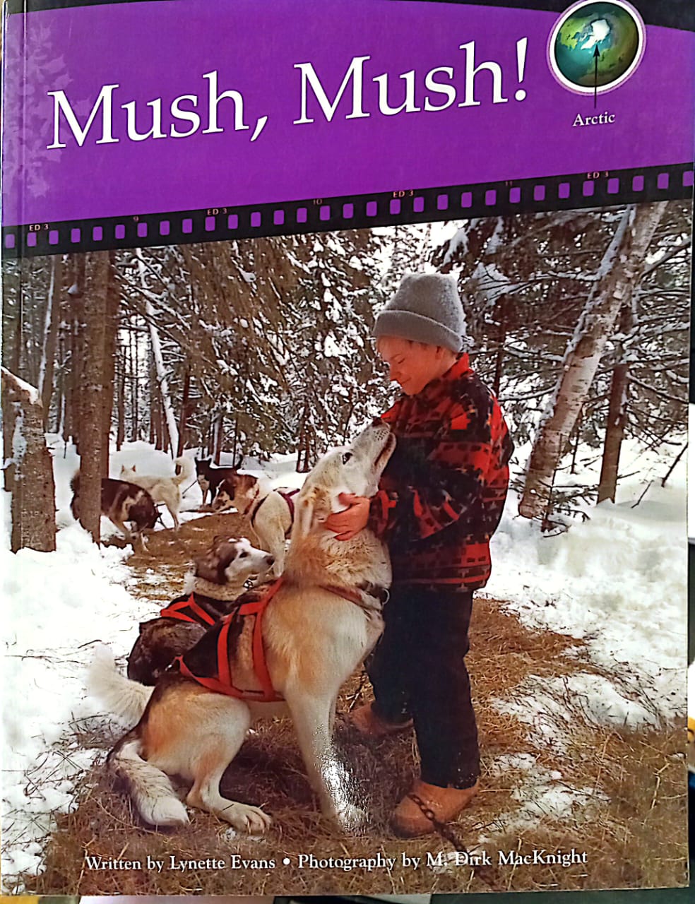 Mush, Mush - Arctic - Worldscapes