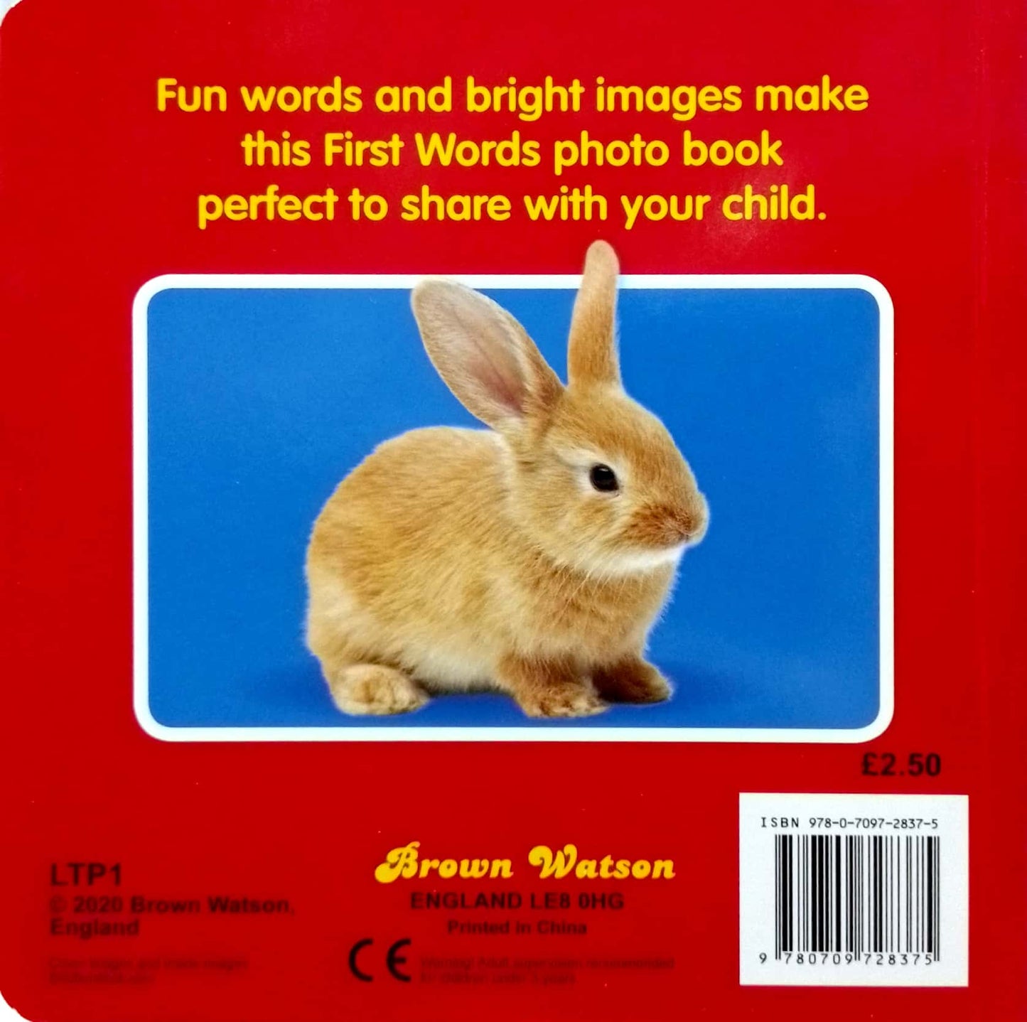 My First Words - Animals - Board Book