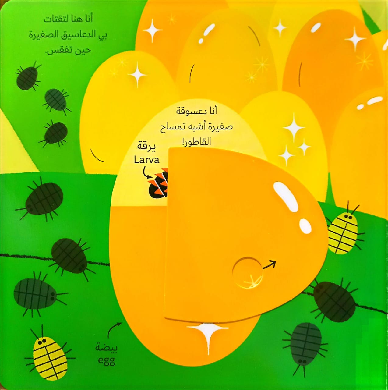 الدعسوقة - سلسلة عالمي الصغير الأخضر - ورق مُقوّى