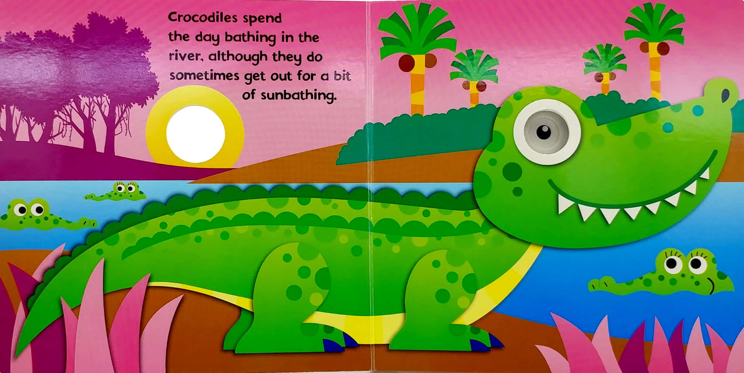 In the Jungle - Board Book