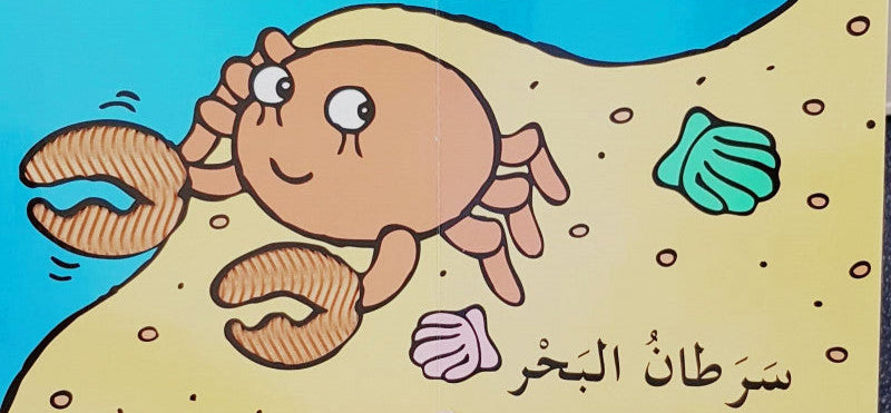 نرى في البحر - سلسلة كتب جديدة مفيدة - ورق مُقوّى