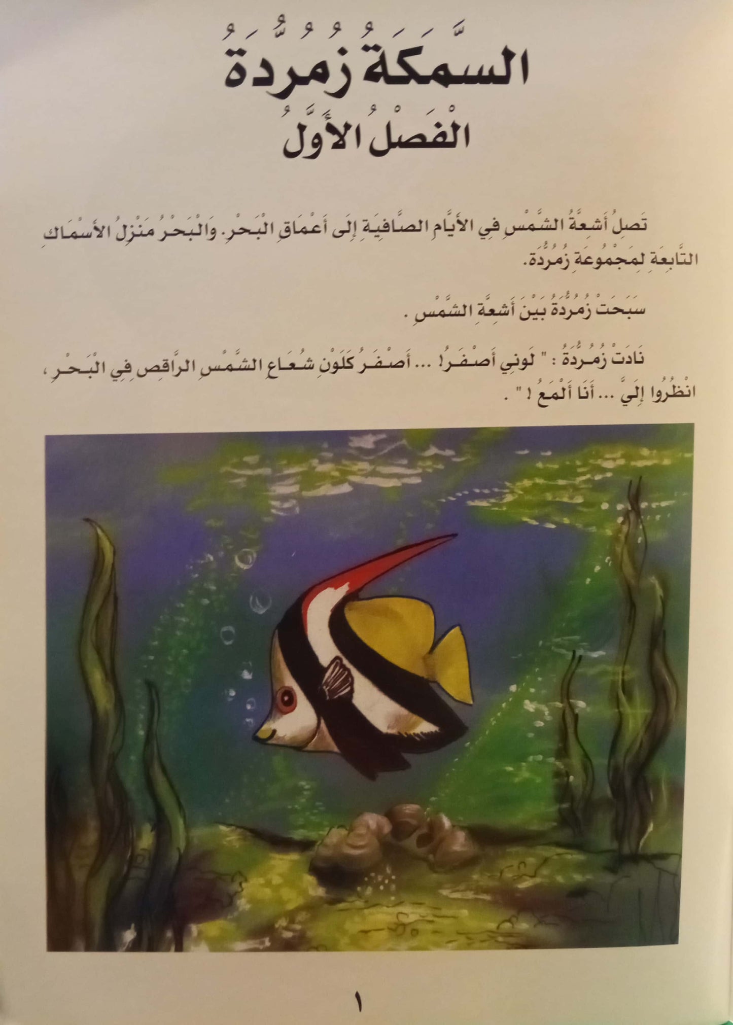 السمكة زمردة تتعلم عن الخصوصية