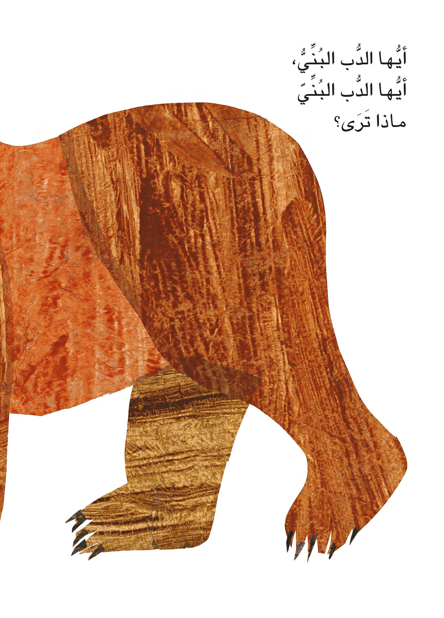 أيها الدب البني، أيها الدب البني.. ماذا ترى؟ - ورق مُقوّى