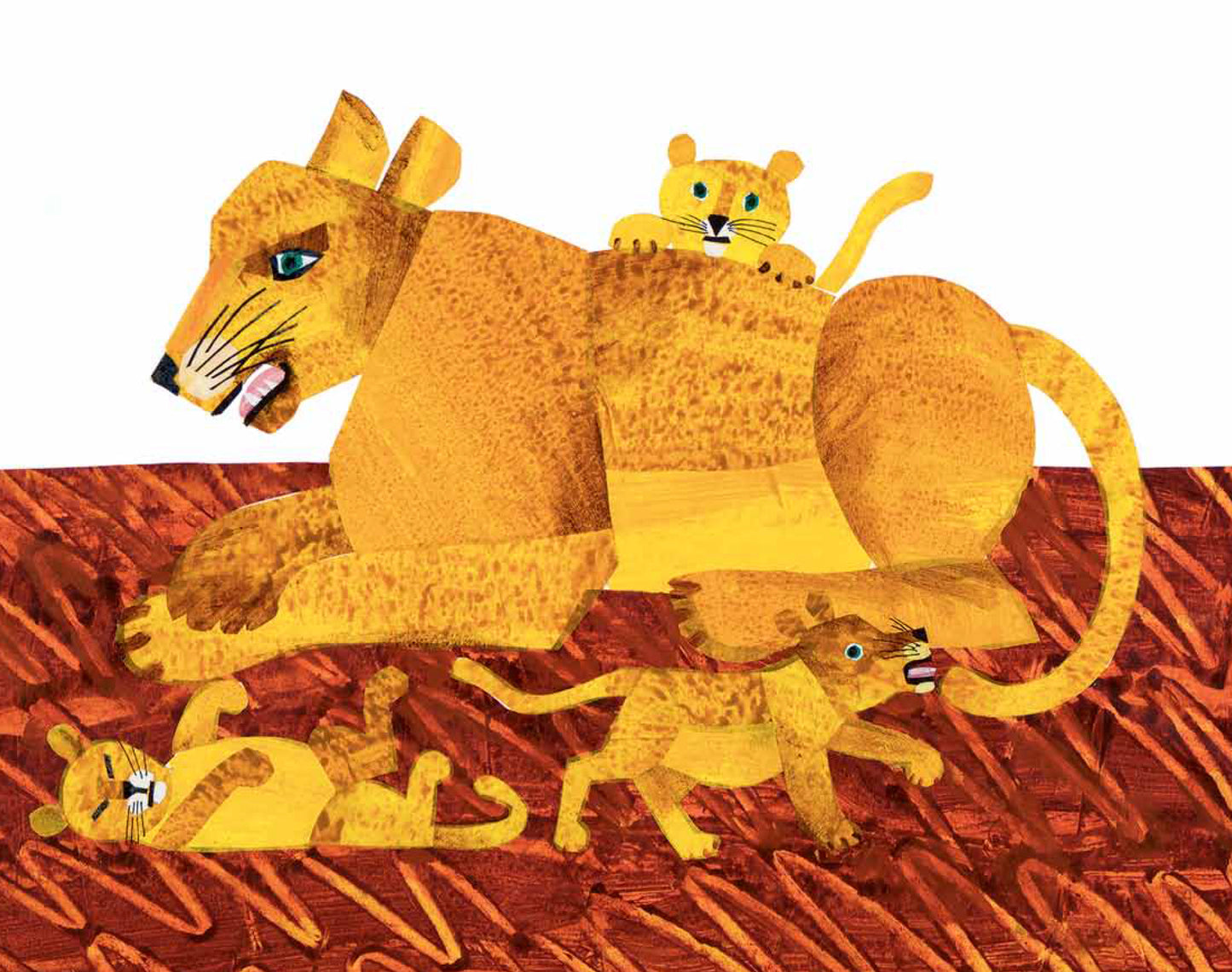 هل للكنغر ايضا أم؟