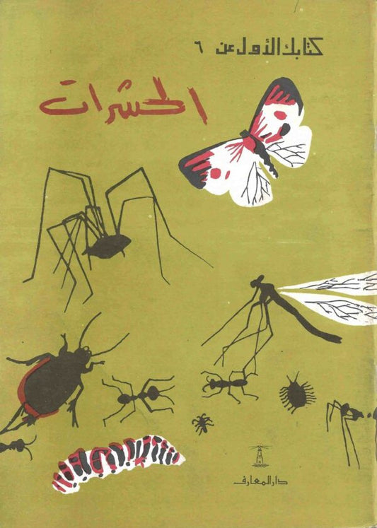 الحشرات - سلسلة كتابك الأول عن