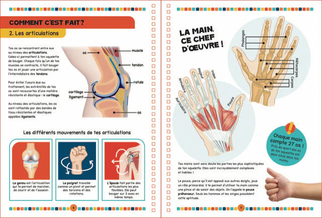 Le livre du corps humain: un voyage fantastique et ludique au coeur des mystères de l'anatomie humaine ! Hardcover