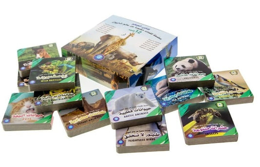 سلسلة كتابي الصغير - 12 كتيب ورق مقوى