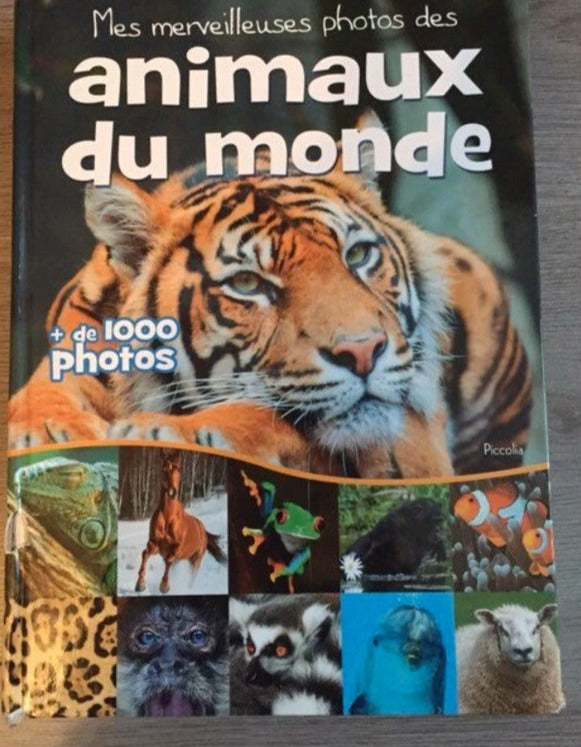 Animaux Du Monde - Mes Mervilleuses Photos Des - De 1000 Photos