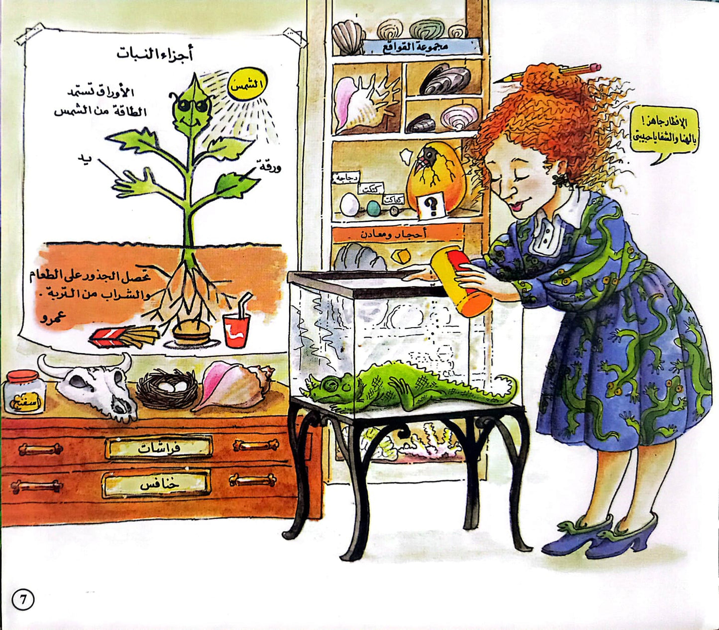 رحلة من السماء إلى كوب الماء - سلسلة الأتوبيس السحري - غلاف مُقوّى