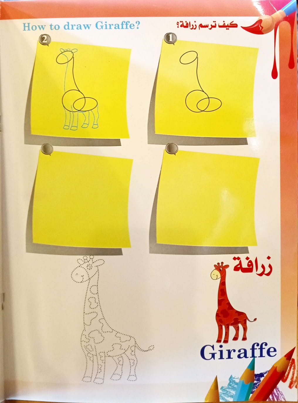 كيف تتعلم رسم حيوانات الغابة - سلسلة ارسم  وامسح - How to Draw Wild Animals