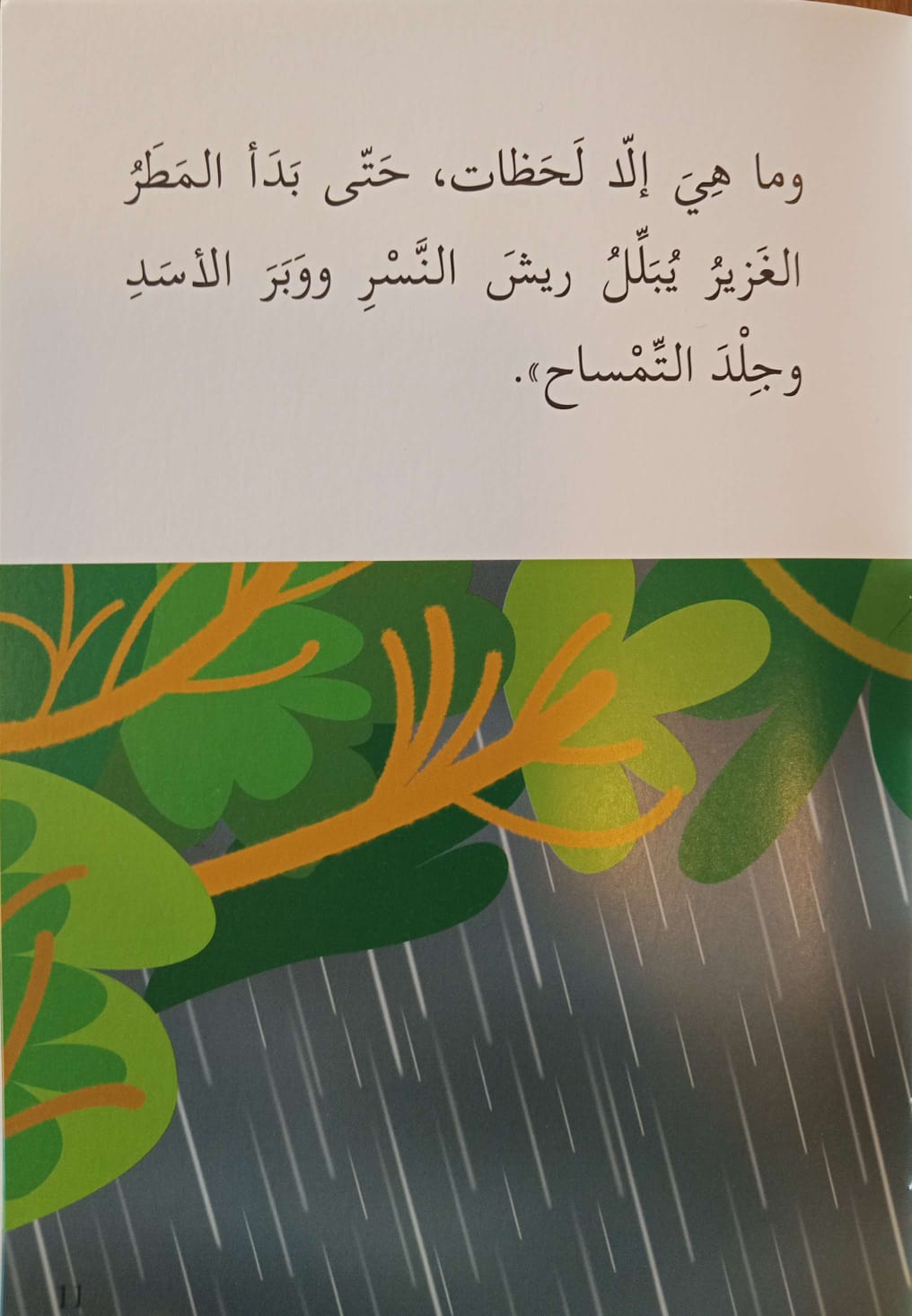 الغابة - المرحلة الثالثة - إصعد مع أصالة -متوسط