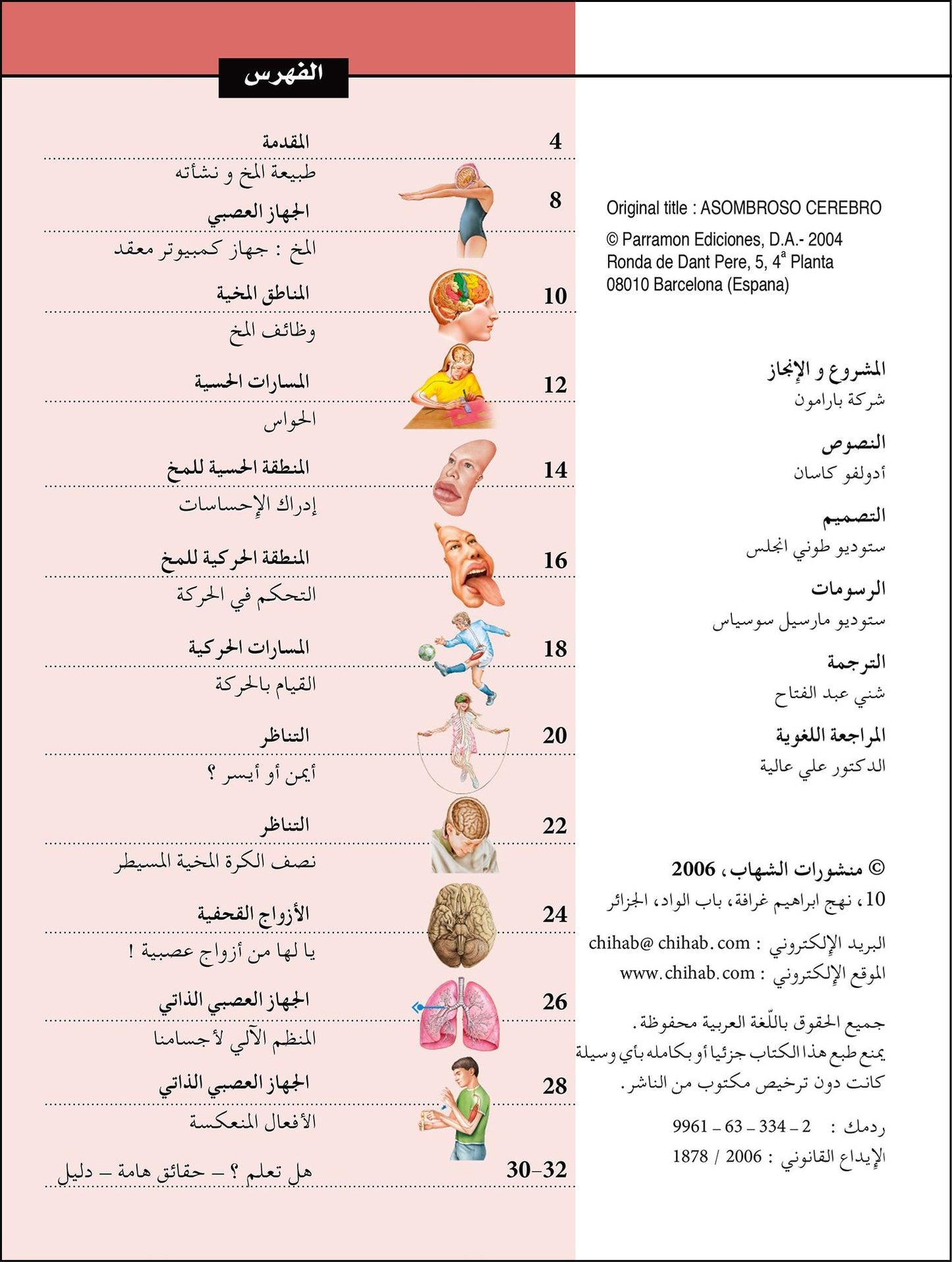 المخ: سلسلة داخل جسم الإنسان - غلاف مُقوّى