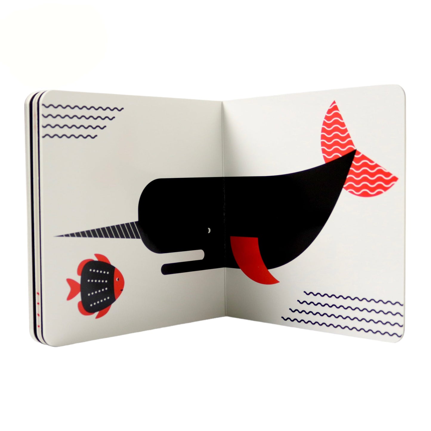 الحيوانات البحرية - طفل مونتيسوري - ورق مُقوّى