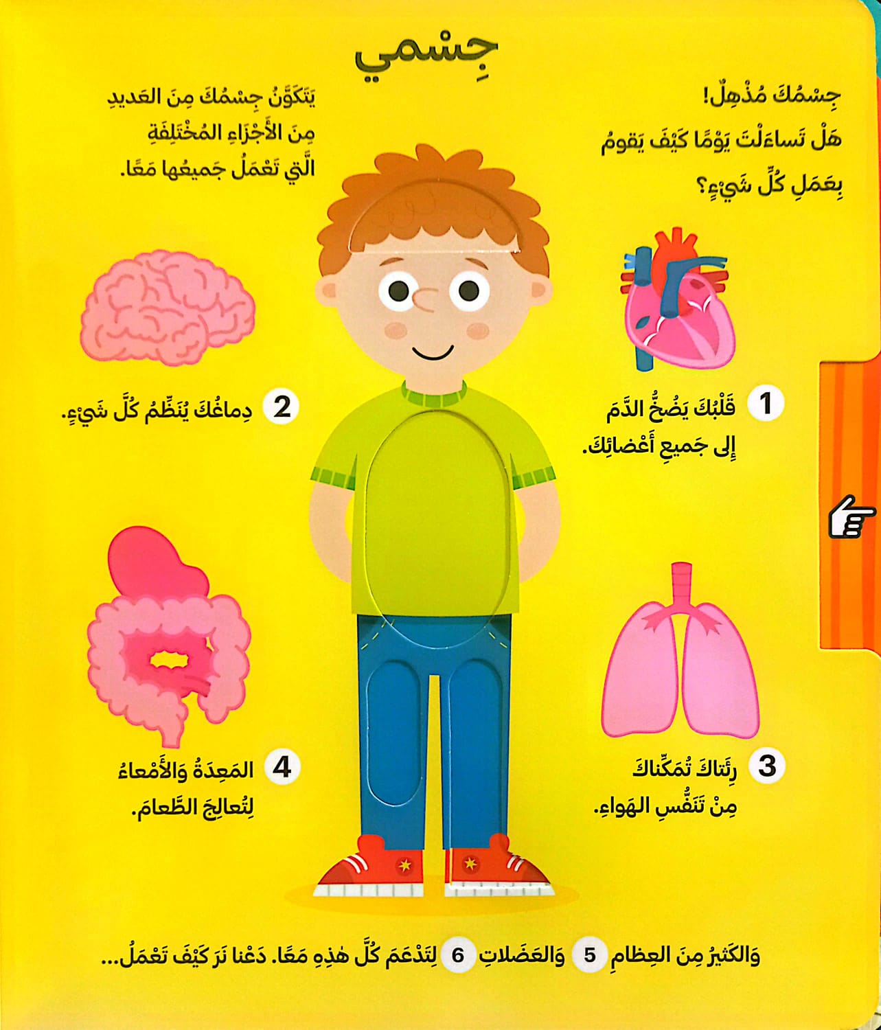 أطلس جسم الإنسان للصغار - ورق مُقوّى