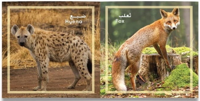 سلسلة كتابي الصغير - 12 كتيب ورق مقوى