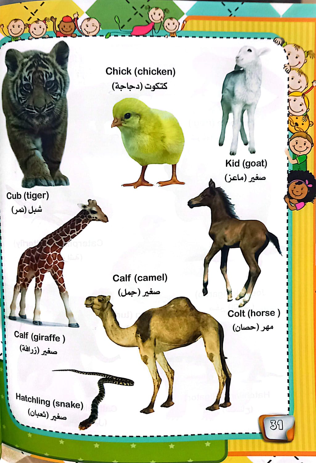 قاموس المعارف المصور للأطفال - My First 1000 Words One by One