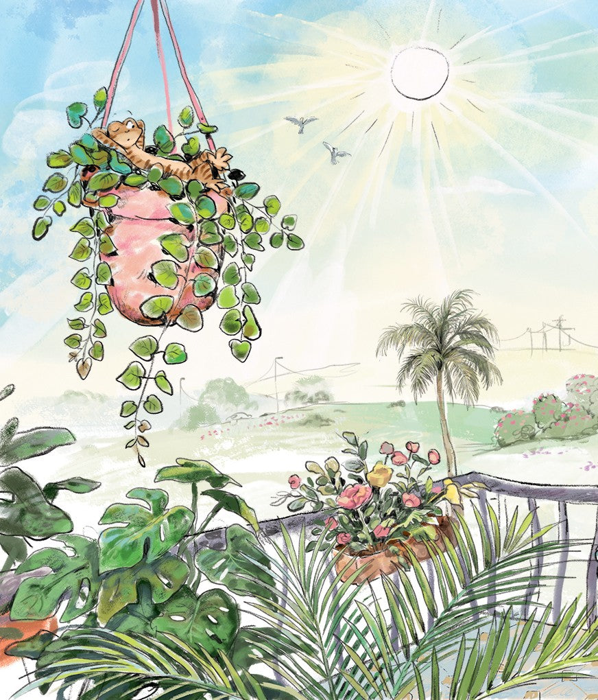 Gamila Gecko Goes to the Pyramids  - Hard Cover