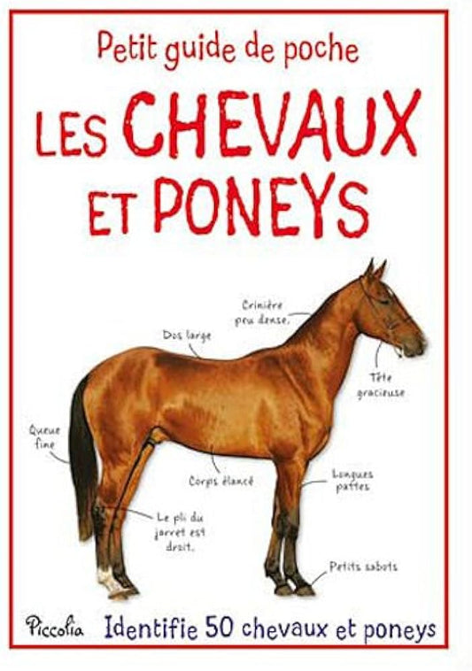 Les Chevaux Et Poneys - Petit Guide De Poche