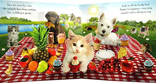 Furry Friends Pop-Ups - Hardcover