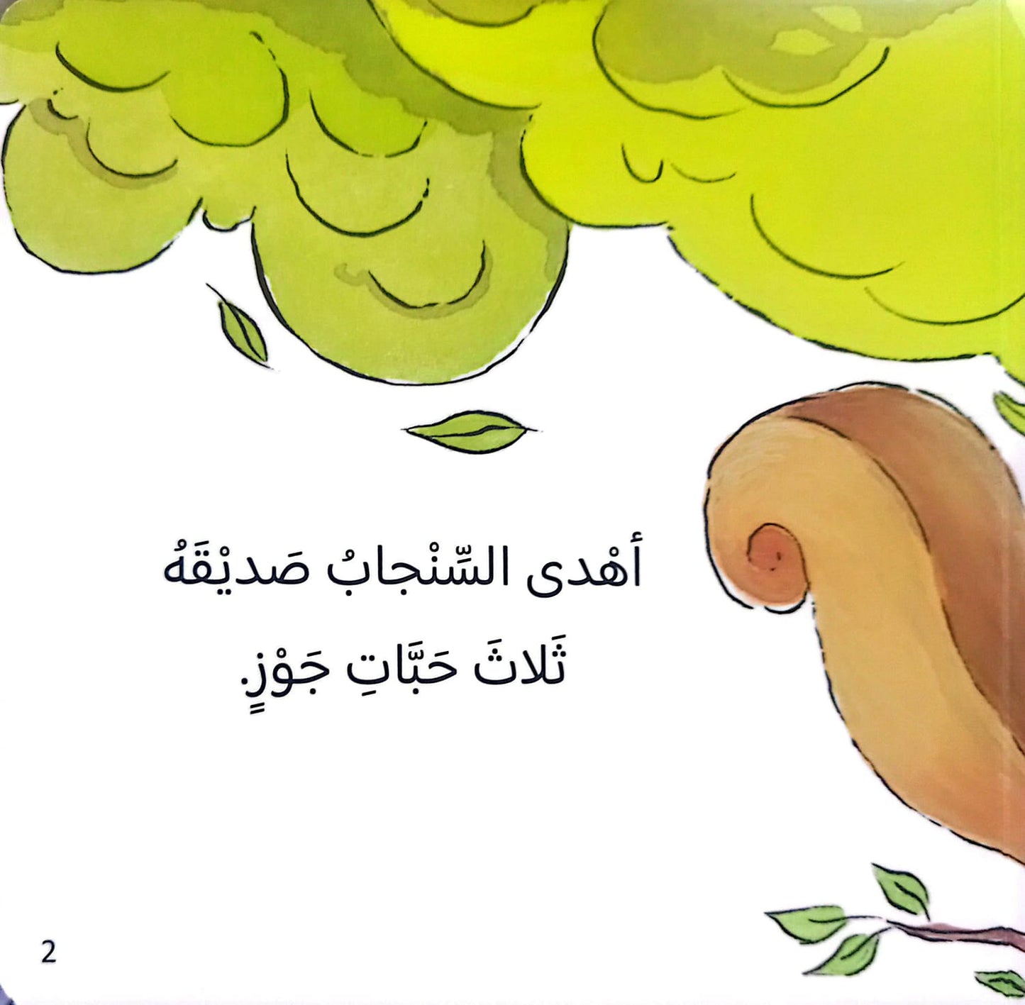 هدية - سلسلة القراءة اللمس الإحساس - ورق مُقوّى